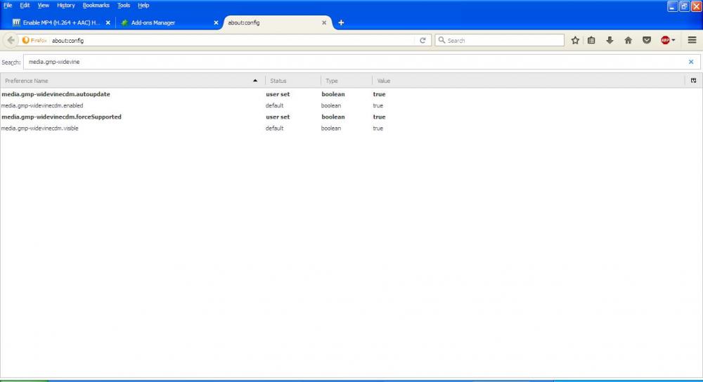 widevine about config.JPG