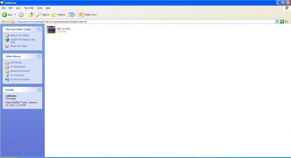 widevine zip file.JPG