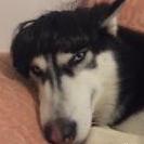 sleepguy