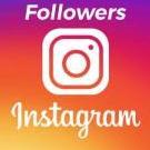 molliecarey735