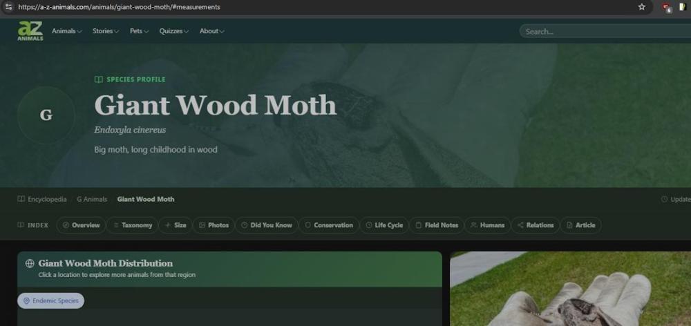 Screenshot_111.jpg