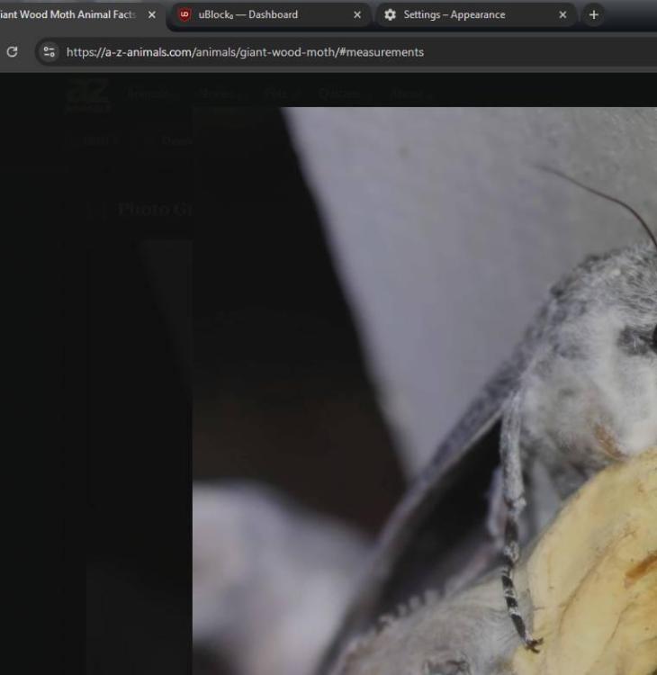 Screenshot__3107.jpg