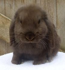 post-25215-0-32721800-1337783329_thumb.j