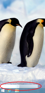 post-385750-0-67606900-1388327706_thumb.