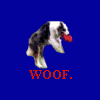 Arf the Lab