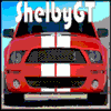 Shelby_gt
